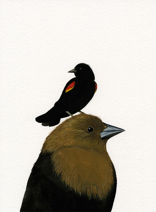 carrie marill gouache painting drawing