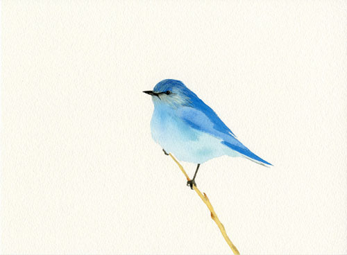 carrie marill gouache painting drawing
