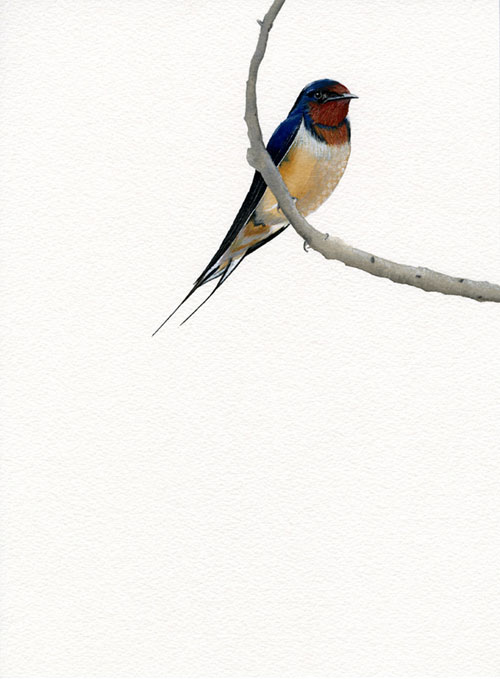 carrie marill gouache painting drawing