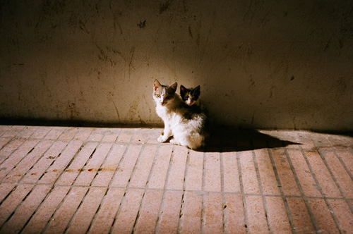 chris taylor photographer photography