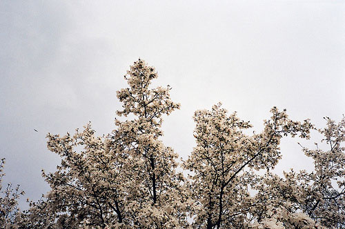 hans nostdahl photographer photography