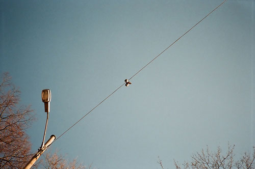 hans nostdahl photographer photography