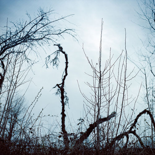 mathew scott photographer photography