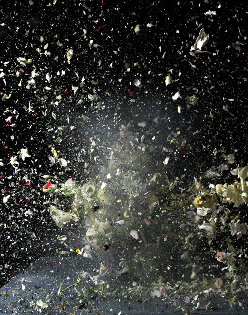 ori gersht photography photographer exploding flowers
