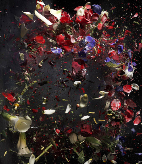 ori gersht photography photographer exploding flowers