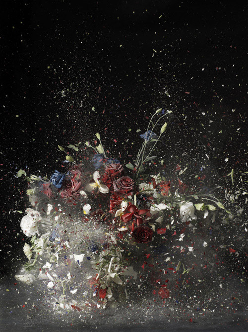 ori gersht photography photographer exploding flowers