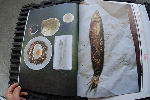 selector magazine publishing lifetime collective art