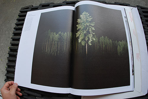 selector magazine publishing lifetime collective art