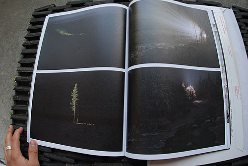 selector magazine publishing lifetime collective art