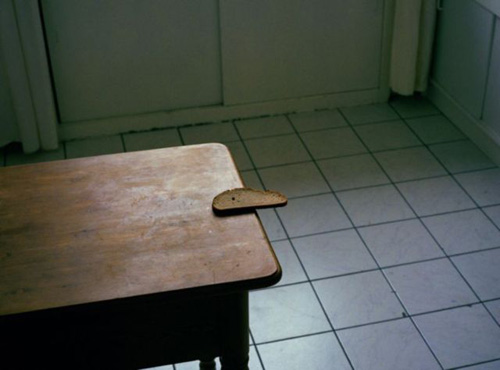 stefanie pluta photographer photography