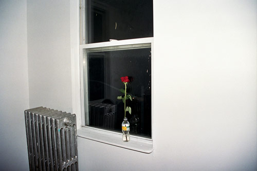 dave geeting brooklyn photographer photography seeing stealing