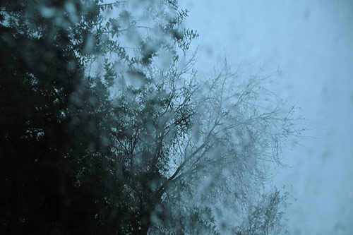 fernando mariani photographer photography fotografia