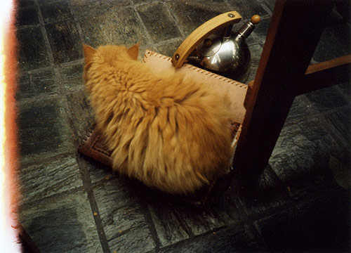 Germán Paley photography photographer