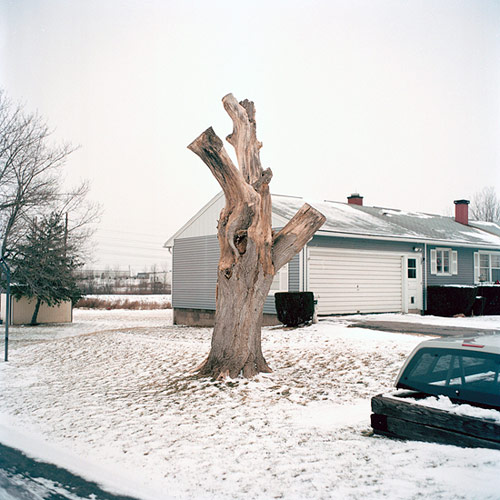 jacob wolf miller photographer photography