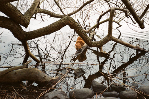 kim peter walker photographer photography