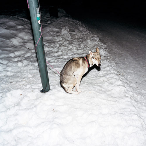 Klara Källström photography photographer sweden