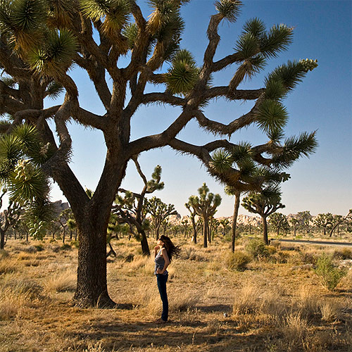 laura flippen photographer photography san francisco