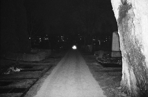 lina scheynius photographer photography