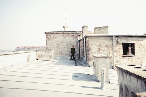 marija strajnic photographer photography serbian