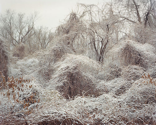 mike sinclair photographer photography kansas city