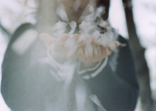 Mutsumi Makino photography photographer japan aurora print flickr