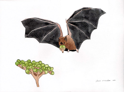 shawn creeden artist drawing bat