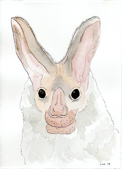 shawn creeden artist drawing bat