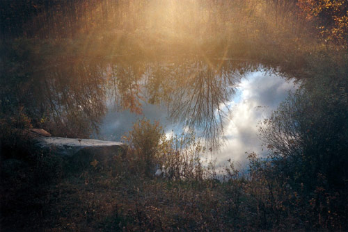 tim barber tiny vices photographer photography curator online gallery