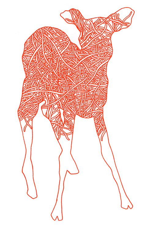 verity keniger drawing illustration