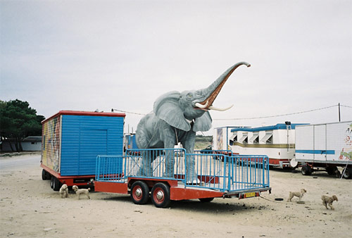 vincent bordet photographer photography france