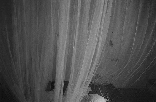 adriana petit photographer photography muso fantasma