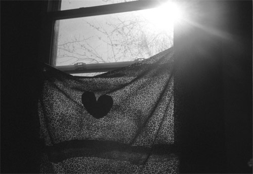 julie elizabeth simon photographer photography