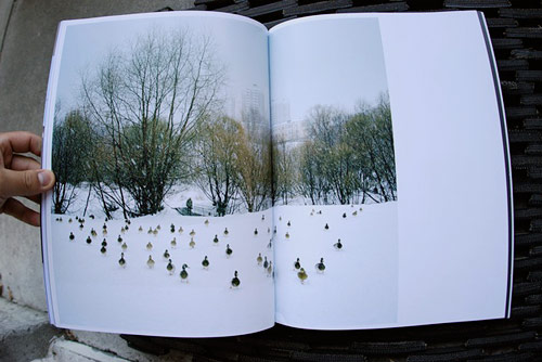 foam magazine photography publication international amsterdam