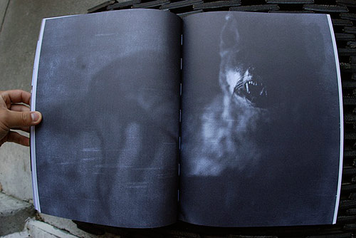 foam magazine photography publication international amsterdam