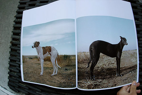 foam magazine photography publication international amsterdam