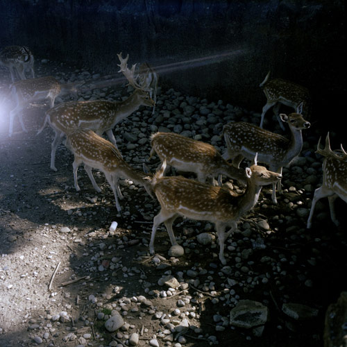 guy archard photographer photography