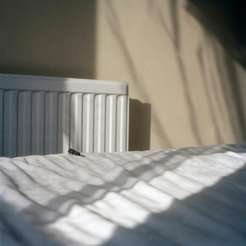 guy archard photographer photography