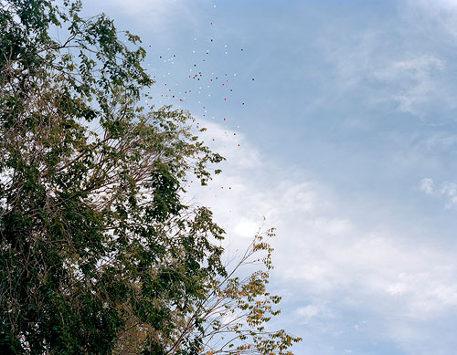 jake stangel photographer photography