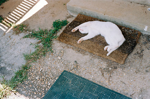 jake stangel photographer photography