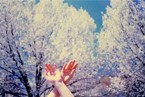 laina briedis photographer photography