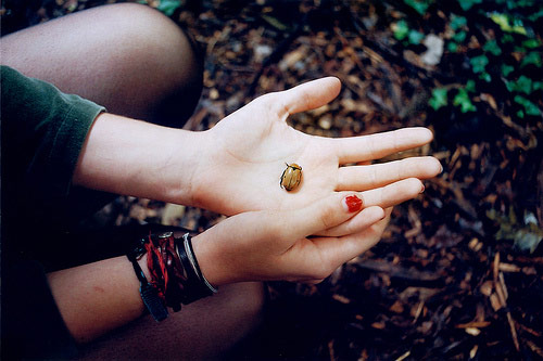 laina briedis photographer photography