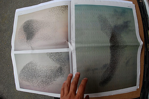 pie paper new zealand repetition art magazine
