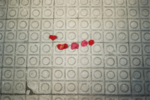 rafa castells photographer photography spain