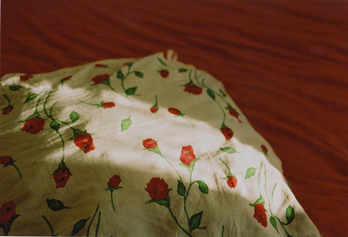 alla nestulova photographer photography russian