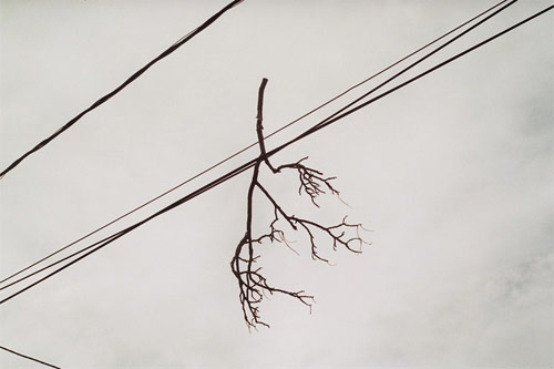 Nemanja Knezevic photographer photography