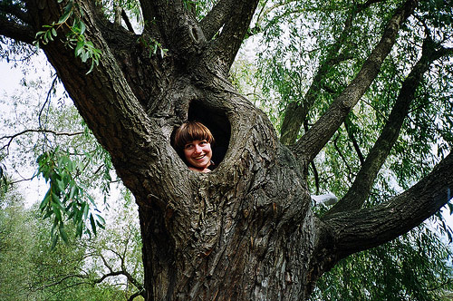 yuanyuan yang photographer photography luka young