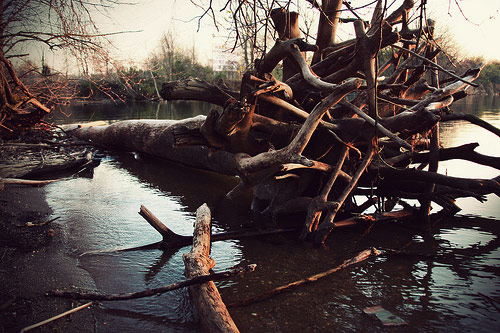 amy dilorenzo photographer photography