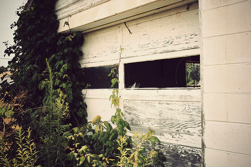 amy dilorenzo photographer photography