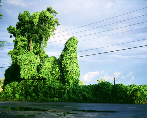 anthony early smith photographer photography