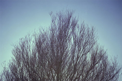 david wilson photographer photography